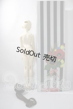 画像6: SDGr/ロリーナ　中原淳一・ぱたーん版〜ブラウス集 扉絵〜 U-26-07-15-220-TN-ZU