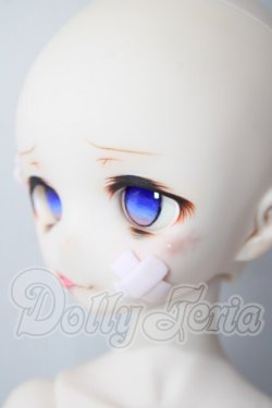 画像4: MDDf3ボディ＆カスタムヘッド A-26-07-15-1084-TN-ZU