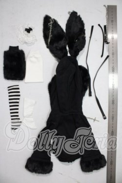 画像2: MDD/OF:衣装セット A-26-07-15-1010-TN-ZU