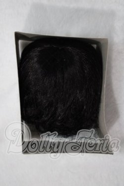 画像1: 9〜10inch/サファイアデフォルトウィッグ U-26-08-05-001-TN-ZU