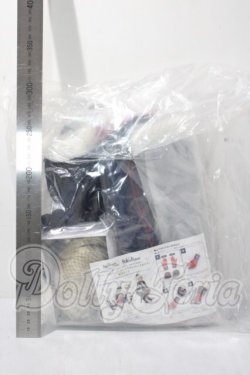 画像2: DD/OF:ライダー/アルトリア・ペンドラゴン[サンタオルタ]変身セット A-26-08-05-1006-TN-ZU