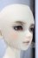 画像3: SD男の子/アルト:星間学寮Ver. Alto in Boys' Dormitory Ver.  U-26-08-05-218-TN-ZU (3)