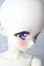 画像3: TinyFox/全知の占星術師 ビビエンヌ1/4 A-26-08-05-1092-TN-ZU (3)
