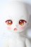 画像1: TinyFox/幼い赤狼リトルアンナ1/6 A-26-08-05-1090-TN-ZU (1)