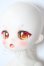 画像3: TinyFox/幼い赤狼リトルアンナ1/6 A-26-08-05-1090-TN-ZU (3)