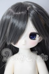 tinyfox/ルーシー A-26-08-05-1091-TN-ZU