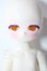 画像1: TinyFox/マーフィー A-26-08-05-1086-TN-ZU (1)