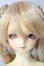 画像1: SD女の子/シャルロッテ A-26-08-12-218-TN-ZU (1)