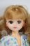 画像1: リカちゃん/日本製本体＆衣装セット A-26-08-19-1033-TN-ZU (1)