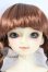画像1: SDM/コーディネートF-24 U-26-08-26-212-TN-ZU (1)