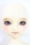 画像2: SDM/コーディネートF-24 U-26-08-26-212-TN-ZU (2)