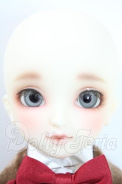 画像2: SDM/F-40　フルチョイス U-26-08-26-211-TN-ZU