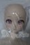 画像2: DDS/ちかげ A-26-09-09-1099-TN-ZU (2)