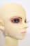 画像3: SD13男の子/黒猫ルカ U-26-09-02-220-TN-ZU (3)