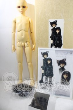 画像5: SD13男の子/黒猫ルカ U-26-09-02-220-TN-ZU