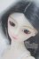 画像1: SD13女の子より U-26-09-02-218-TN-ZU (1)