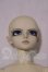 画像1: LUTS/Delf CHIWOO A-26-09-09-1098-TN-ZU (1)
