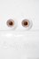 画像1: レジンアイ/16mm:Intox製 U-26-09-16-065-TN-ZU (1)