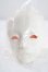 画像1: SWITCH/SEOLROK Hiver Head A-26-09-02-1024-TN-ZU (1)