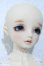 画像3: SDM男の子/コーディネートモデル:F-54 U-26-09-09-215-TN-ZU (3)