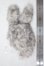画像2: ネオブライス/OF:小物 A-26-09-02-1056-TN-ZU (2)