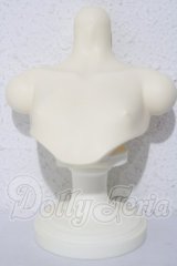 JOY　DOLL/ボディトルソー A-26-09-16-1091-TN-ZU