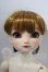 画像1: Dear　SD/アナ U-26-09-16-218-TN-ZU (1)