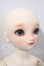 画像3: Dear　SD/アナ U-26-09-16-218-TN-ZU (3)