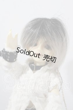 画像1: 幼SD/南条勲 U-26-09-16-211-TN-ZU