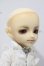 画像3: 幼SD/南条勲 U-26-09-16-211-TN-ZU (3)