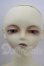 画像1: SDBOY/凌 U-26-09-16-210-TN-ZU (1)