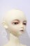 画像3: SDBOY/凌 U-26-09-16-210-TN-ZU (3)