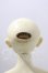 画像4: SDBOY/凌 U-26-09-16-210-TN-ZU (4)