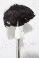 3.5inch-4inch/ウィッグ A-26-09-16-1046-TN-ZU
