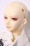 画像2: ユノアクルス/ヴィエル A-26-09-16-1087-TN-ZU (2)