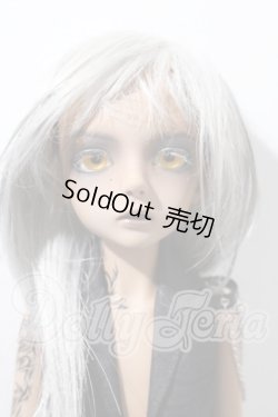 画像1: custumhouse/juniour Ai　MARCO A-26-09-16-1093-TN-ZU