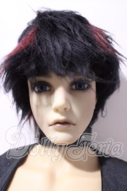 画像1: IPLEHOUSE/EID EVAN A-26-09-16-1095-TN-ZU