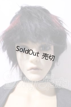 画像1: IPLEHOUSE/EID EVAN A-26-09-16-1095-TN-ZU