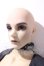 画像2: IPLEHOUSE/EID EVAN A-26-09-16-1095-TN-ZU (2)
