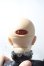 画像4: IPLEHOUSE/EID EVAN A-26-09-16-1095-TN-ZU (4)