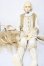 画像5: unidoll/JACE A-26-09-16-1089-TN-ZU (5)