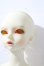 画像2: the gem/Dain ? Moon Light Elves A-26-09-16-1099-TN-ZU (2)