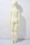 画像5: the gem/Dain ? Moon Light Elves A-26-09-16-1099-TN-ZU (5)