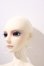 画像2: LUTS/Super Senior Delf CIAN A-26-09-16-1100-TN-ZU (2)