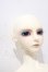 画像3: LUTS/Super Senior Delf CIAN A-26-09-16-1100-TN-ZU (3)