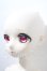 画像2: MyouDoll/Sandra A-26-09-16-1096-TN-ZU (2)