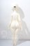 画像5: MyouDoll/Sandra A-26-09-16-1096-TN-ZU (5)