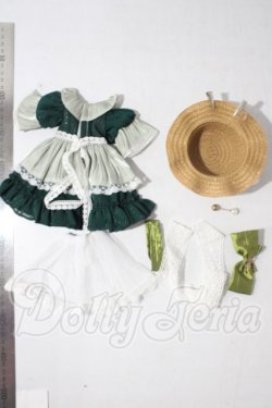 画像2: MSD&MDD/OF メイド注意にゃ(RosenliaDoll様製) U-26-09-24-129-TN-ZU