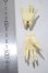 画像2: DIKA DOLL/1/4可動ハンドパーツ A-26-09-24-1077-TN-ZU (2)
