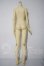 画像2: BJD CROBI/M-LINE　ボディ A-26-09-24-1089-TN-ZU (2)
